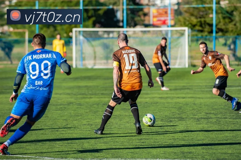 星空体育登录官网入口发展历程